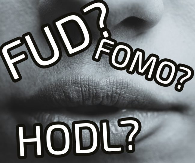 FUD FOMO HODL