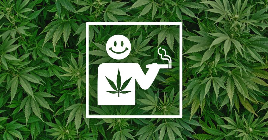 cannabis-money