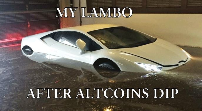 lambo dip