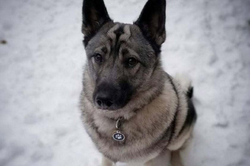 27720685_1719852314747533_993775193_n (1)